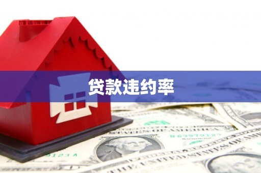 永靖贷款违约率