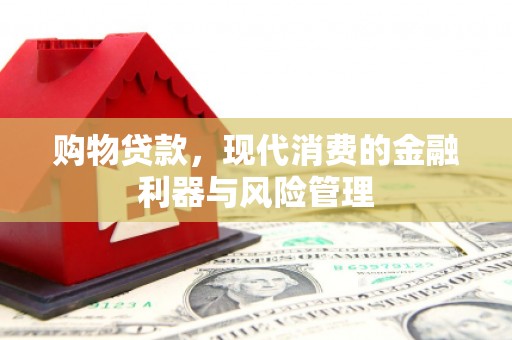 永靖购物贷款，现代消费的金融利器与风险管理