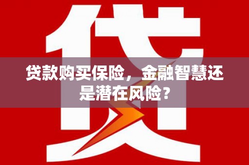 永靖贷款购买保险，金融智慧还是潜在风险？