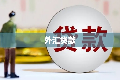 永靖外汇贷款