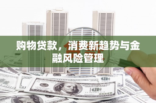 永靖购物贷款，消费新趋势与金融风险管理