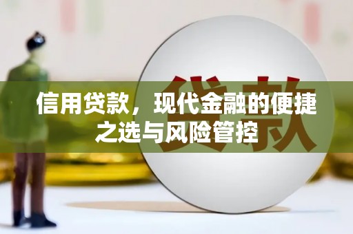 永靖信用贷款，现代金融的便捷之选与风险管控