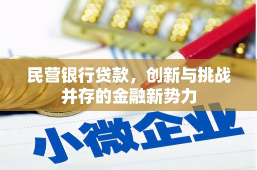 永靖民营银行贷款，创新与挑战并存的金融新势力