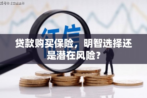 永靖贷款购买保险，明智选择还是潜在风险？