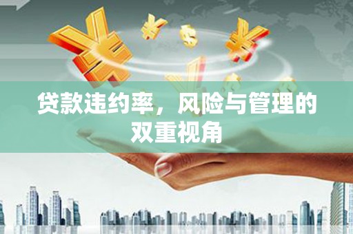 永靖贷款违约率，风险与管理的双重视角