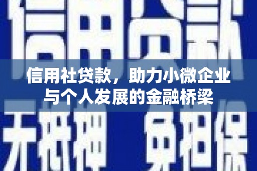 永靖信用社贷款，助力小微企业与个人发展的金融桥梁