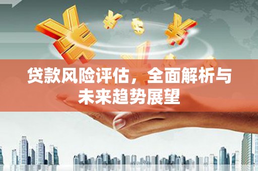 永靖贷款风险评估，全面解析与未来趋势展望