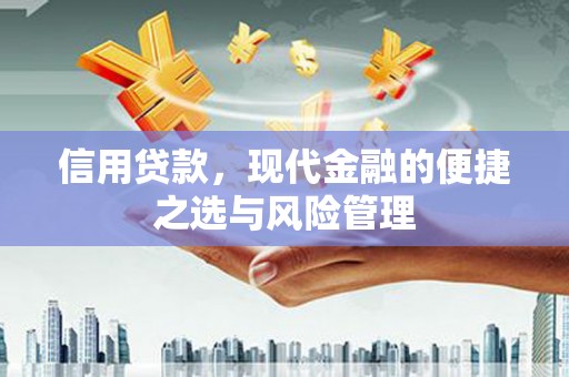永靖信用贷款，现代金融的便捷之选与风险管理
