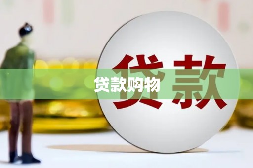 永靖贷款购物