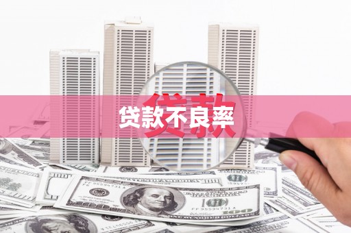 永靖贷款不良率