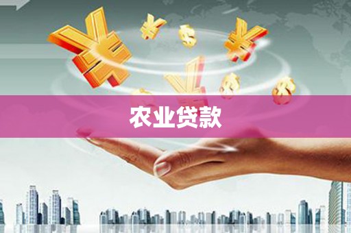 永靖农业贷款