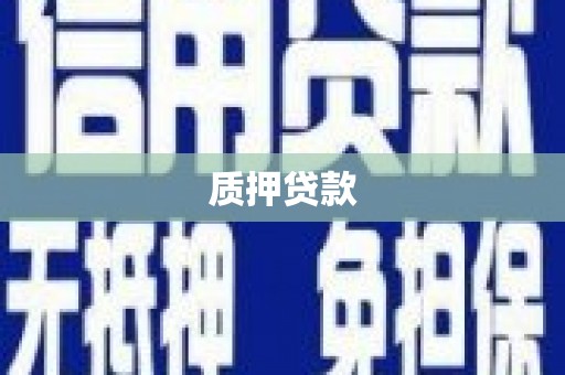 永靖质押贷款