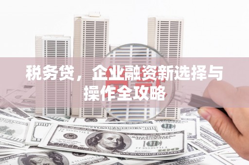 永靖税务贷，企业融资新选择与操作全攻略