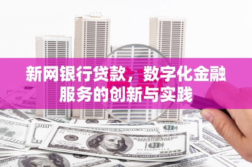 永靖新网银行贷款，数字化金融服务的创新与实践