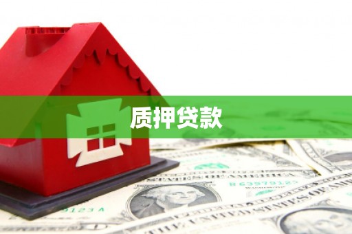 永靖质押贷款