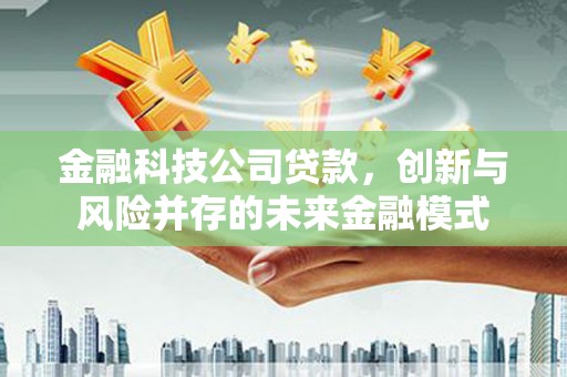永靖金融科技公司贷款，创新与风险并存的未来金融模式