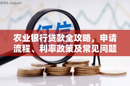 永靖农业银行贷款全攻略，申请流程、利率政策及常见问题解析