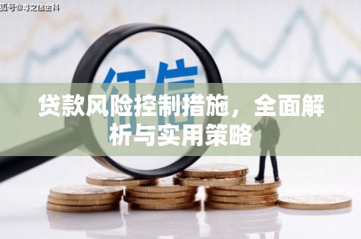 永靖贷款风险控制措施，全面解析与实用策略