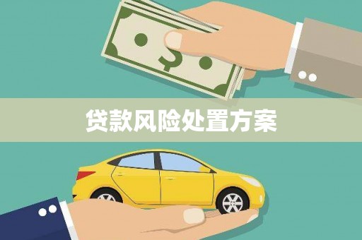 永靖贷款风险处置方案