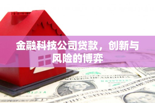 永靖金融科技公司贷款，创新与风险的博弈