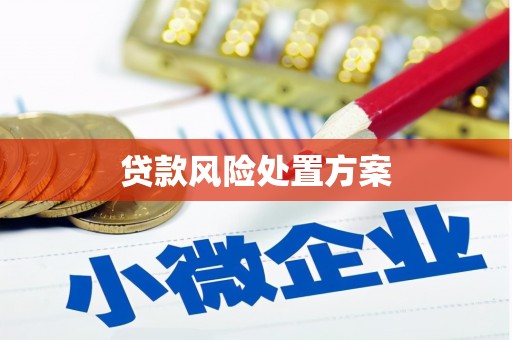 永靖贷款风险处置方案