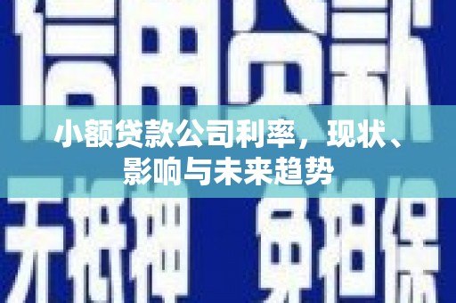 永靖小额贷款公司利率，现状、影响与未来趋势
