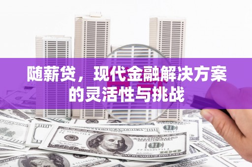 永靖随薪贷，现代金融解决方案的灵活性与挑战
