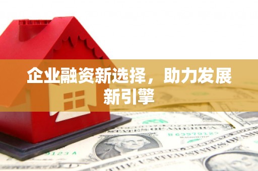 永靖企业融资新选择，助力发展新引擎