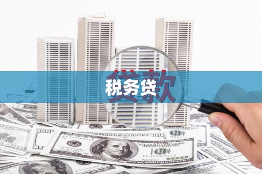 永靖税务贷