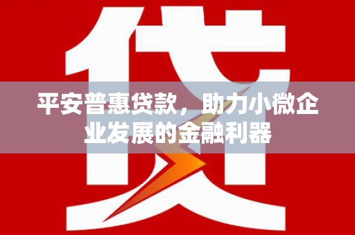 永靖平安普惠贷款，助力小微企业发展的金融利器