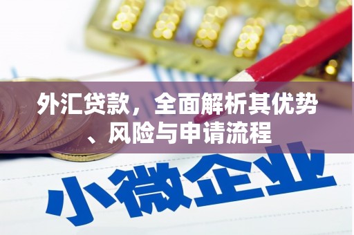 永靖外汇贷款，全面解析其优势、风险与申请流程