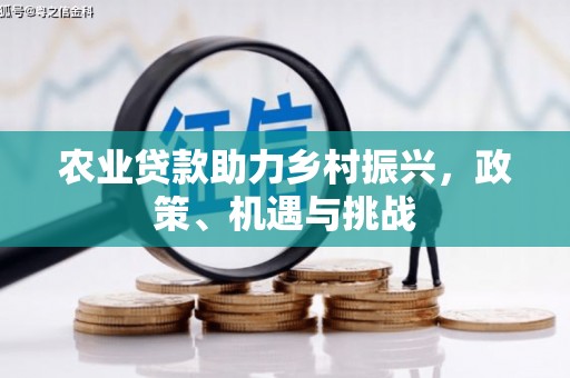永靖农业贷款助力乡村振兴，政策、机遇与挑战