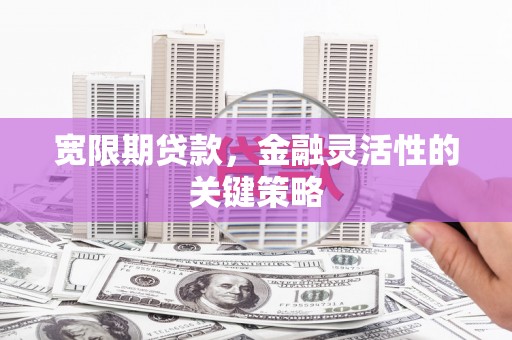 永靖宽限期贷款，金融灵活性的关键策略