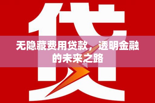 永靖无隐藏费用贷款，透明金融的未来之路