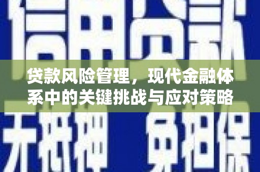 永靖贷款风险管理，现代金融体系中的关键挑战与应对策略
