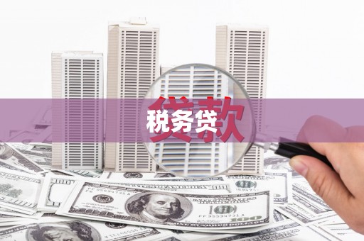 永靖税务贷