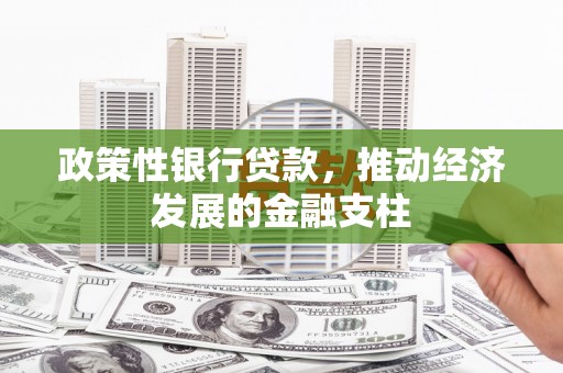 永靖政策性银行贷款，推动经济发展的金融支柱