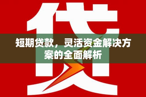 永靖短期贷款，灵活资金解决方案的全面解析