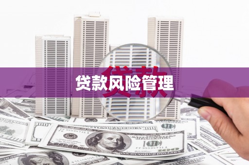 永靖贷款风险管理