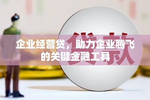 永靖企业经营贷，助力企业腾飞的关键金融工具
