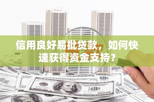 永靖信用良好易批贷款，如何快速获得资金支持？