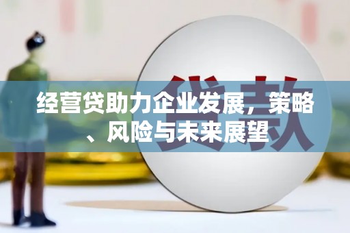 永靖经营贷助力企业发展，策略、风险与未来展望