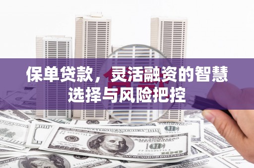 永靖保单贷款，灵活融资的智慧选择与风险把控