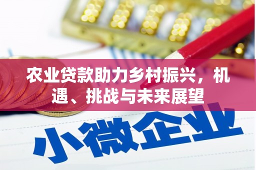 永靖农业贷款助力乡村振兴，机遇、挑战与未来展望