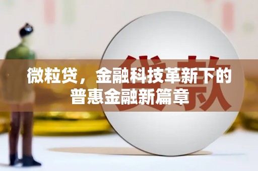 永靖微粒贷，金融科技革新下的普惠金融新篇章