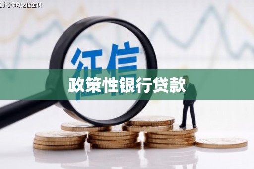 永靖政策性银行贷款
