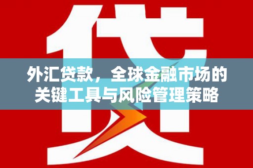 永靖外汇贷款，全球金融市场的关键工具与风险管理策略