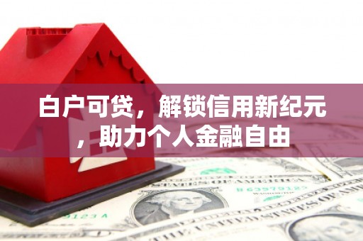 永靖白户可贷，解锁信用新纪元，助力个人金融自由