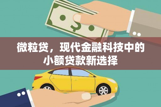 永靖微粒贷，现代金融科技中的小额贷款新选择