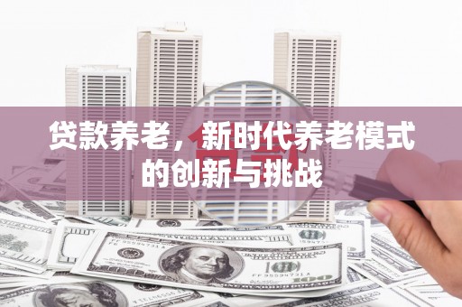 永靖贷款养老，新时代养老模式的创新与挑战